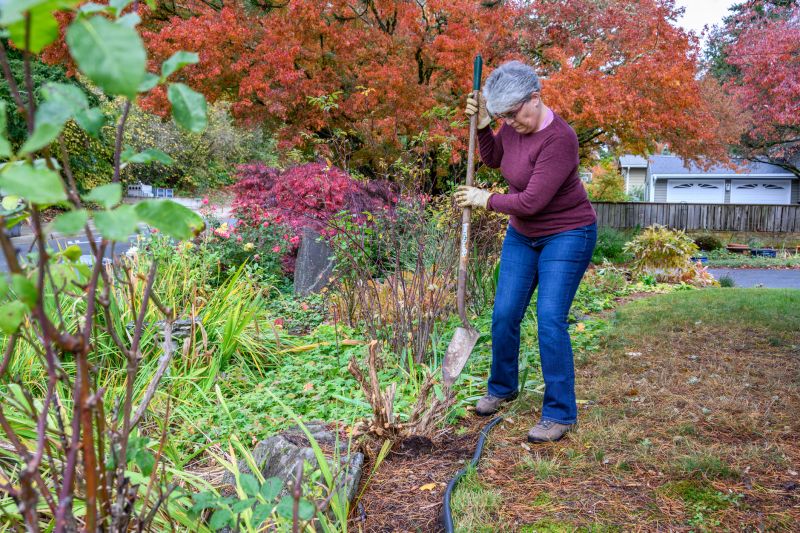 Autumn Edging Projects