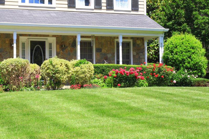 Lawn Border Installation
